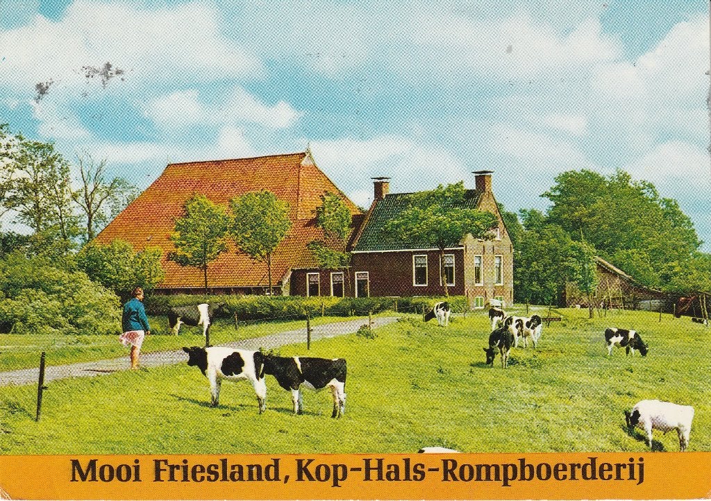 Mooi Friesland, Kop-Hals-Rompboerderij - Ansichtkaart 1984, Ophalen of Verzenden, 1980 tot heden, Gelopen, Friesland