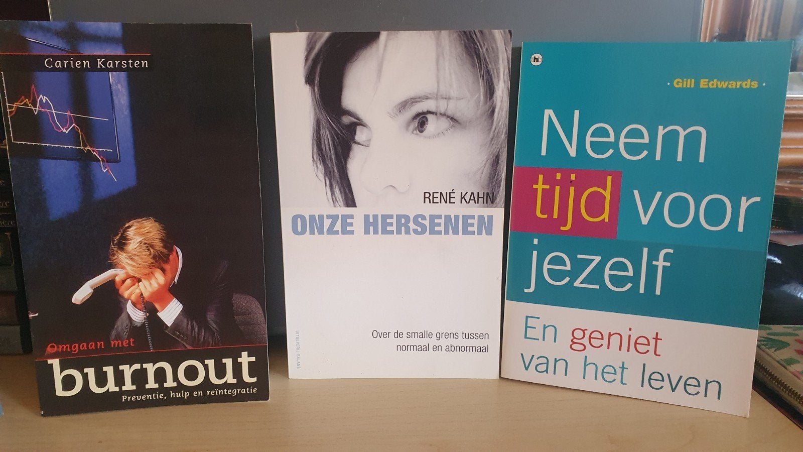 Psychologie boekenoa: Onze Hersenen, Neem tijd voor jezelf, Ophalen of Verzenden, Gelezen, Klinische psychologie, Carien Karsten, René Kahn, Gill Edwards