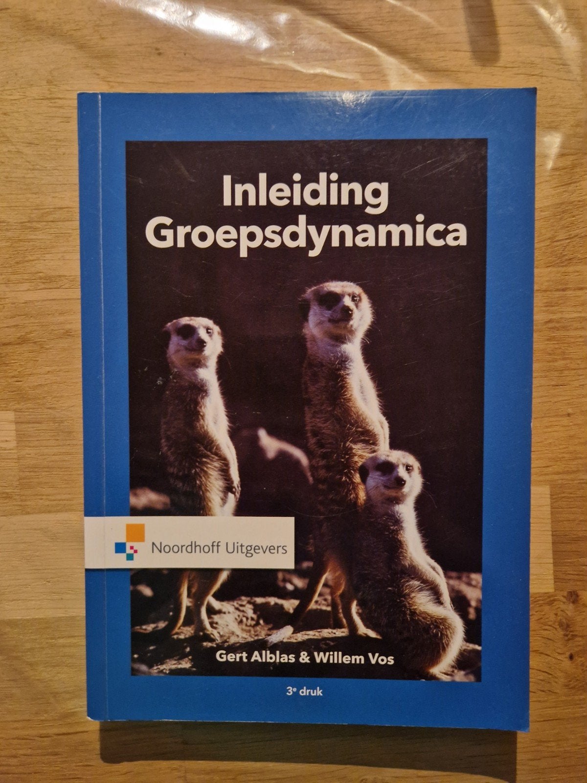 Inleiding Groepsdynamica - Gert Alblas & Willem Vos, Gert Alblas & Willem Vos, Zo goed als nieuw, Gamma, HBO