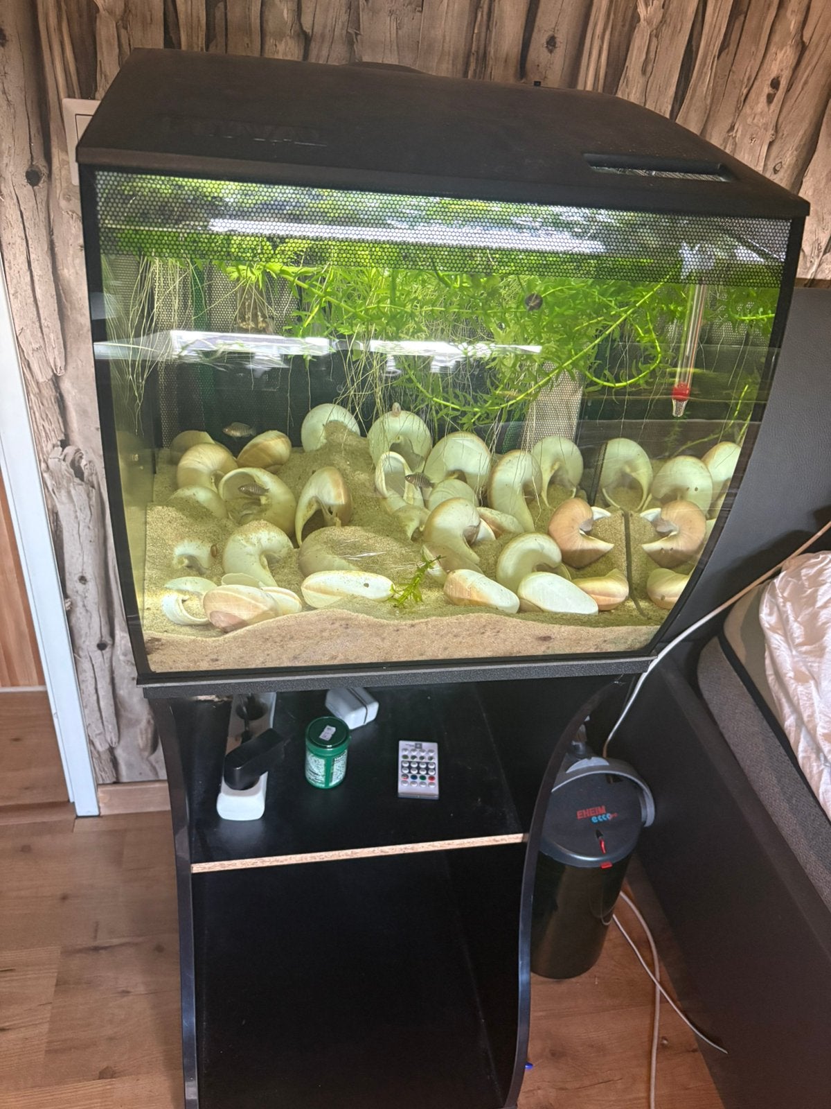 Aquarium met vissen, Dieren en Toebehoren, Vissen | Aquaria en Toebehoren, Ophalen, Gebruikt, Gevuld zoetwateraquarium, Inclusief vissen
