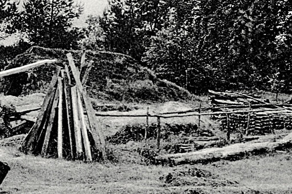 970255 Veluwe Boerderij Klederdracht Niet Gelopen, Ophalen of Verzenden, 1940 tot 1960, Ongelopen, Gelderland