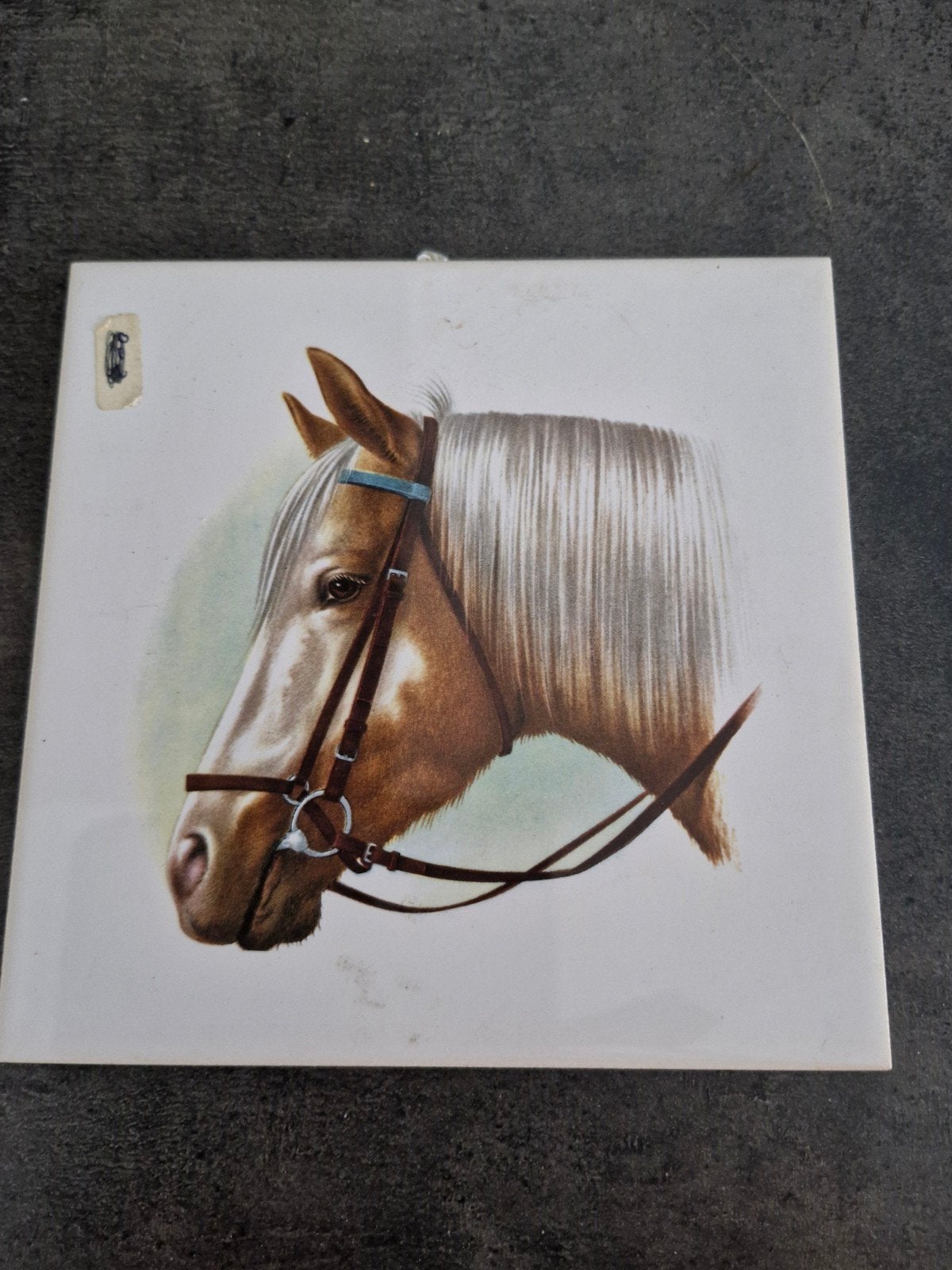 Set van 2 vintage tegels met paardenhoofden 15x15cm, Ophalen of Verzenden