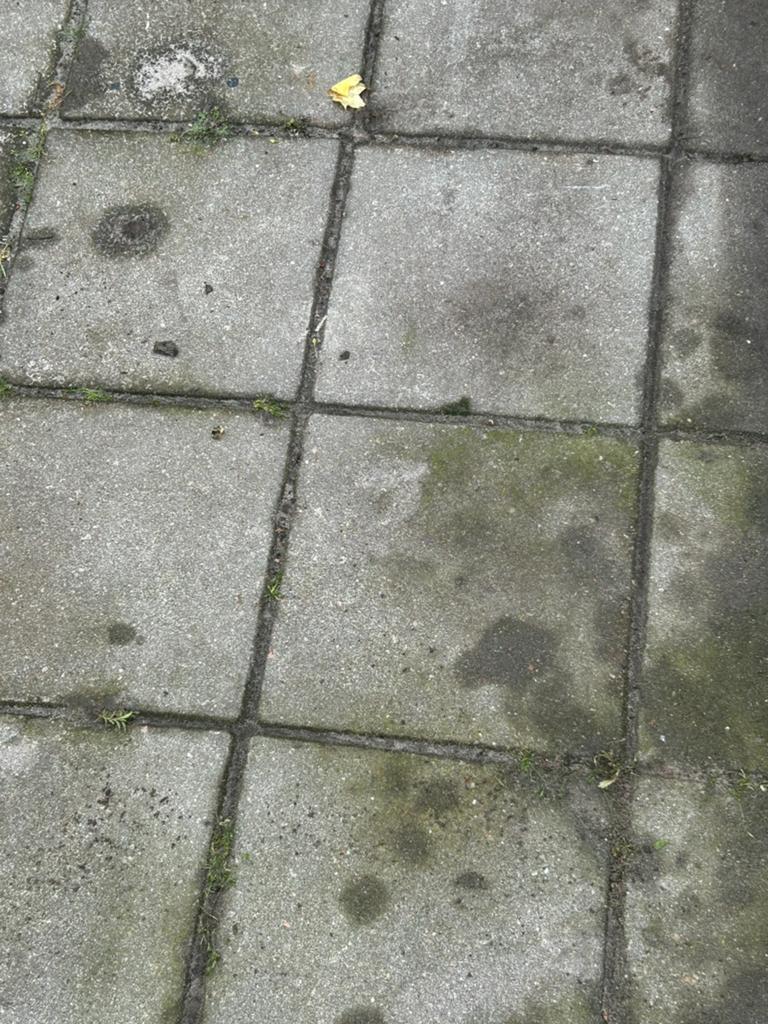 Gratis stoeptegels, Tuin en Terras, Ophalen, 5 tot 10 m², Zo goed als nieuw, Beton