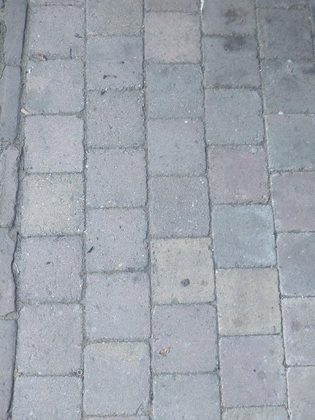 + - 15 m3 koppelstones bont, Tuin en Terras, Ophalen of Verzenden, Gebruikt, Beton, Klinkers