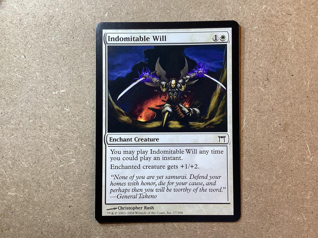 1x Indomitable Will [017/306] (Near Mint), Ophalen of Verzenden, Zo goed als nieuw, Losse kaart