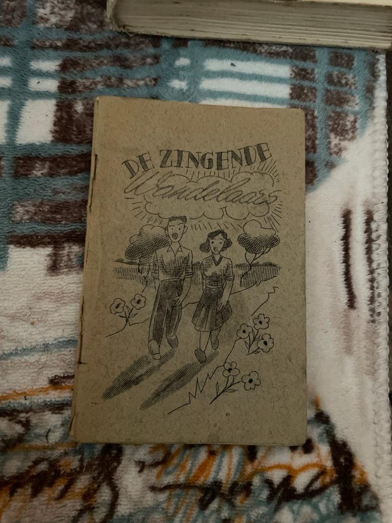 Boek: De Zingende Wandelaars - Vintage Jeugdboek, Boeken, Ophalen of Verzenden, Gelezen, Fictie algemeen