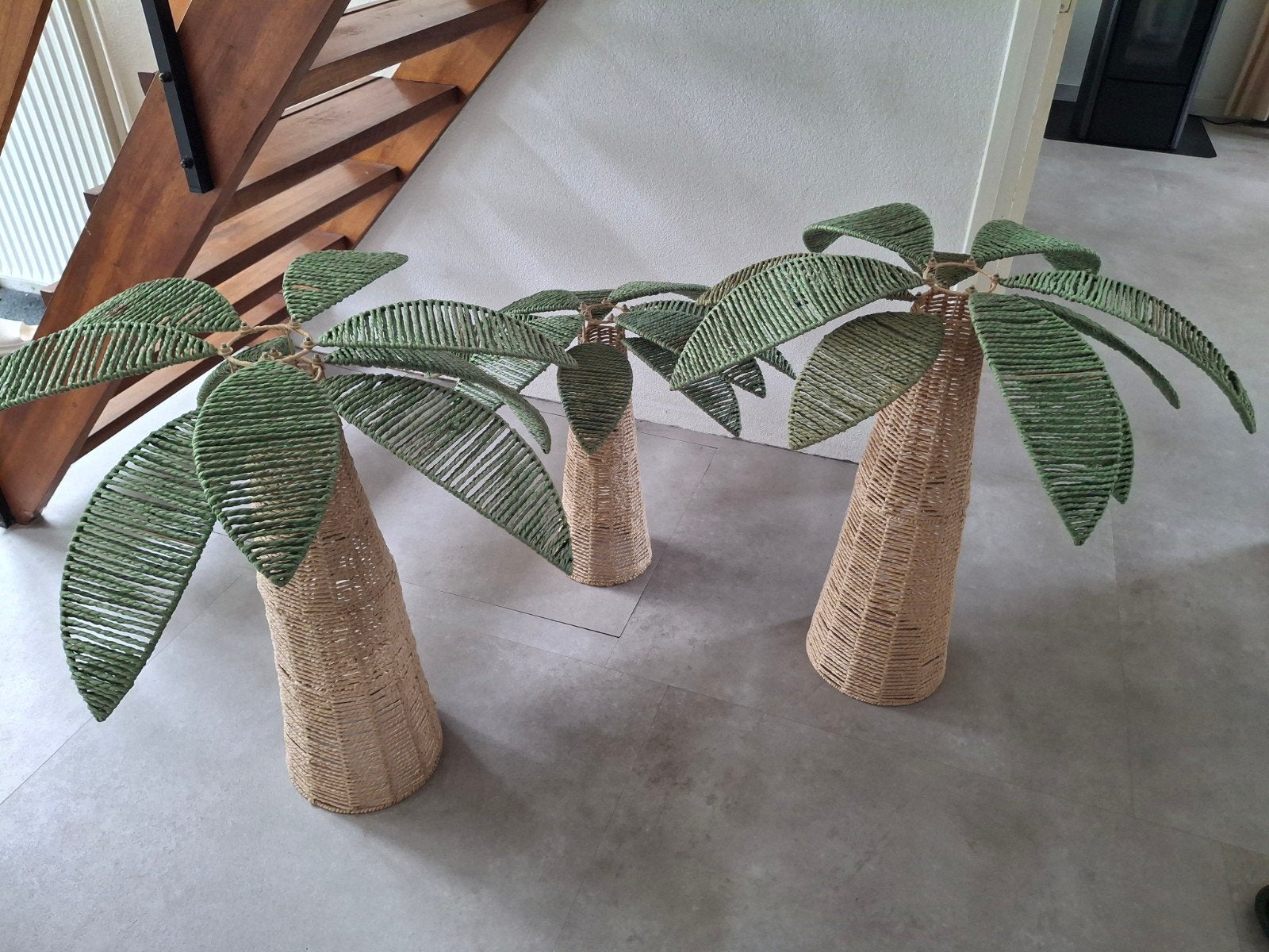 Rotan palmbomen, Ophalen, Halfschaduw, Minder dan 100 cm