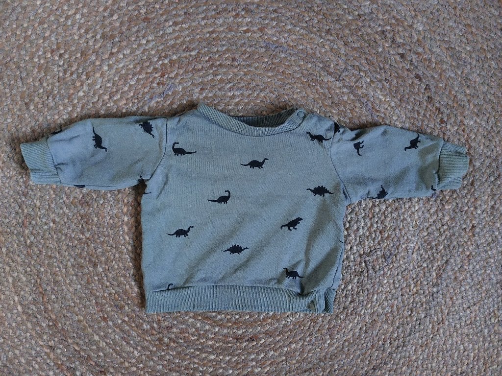 Leuke groene sweater met dino's - maat 56, Kinderen en Baby's, Babykleding | Maat 56, Truitje of Vestje, H&M, Ophalen of Verzenden
