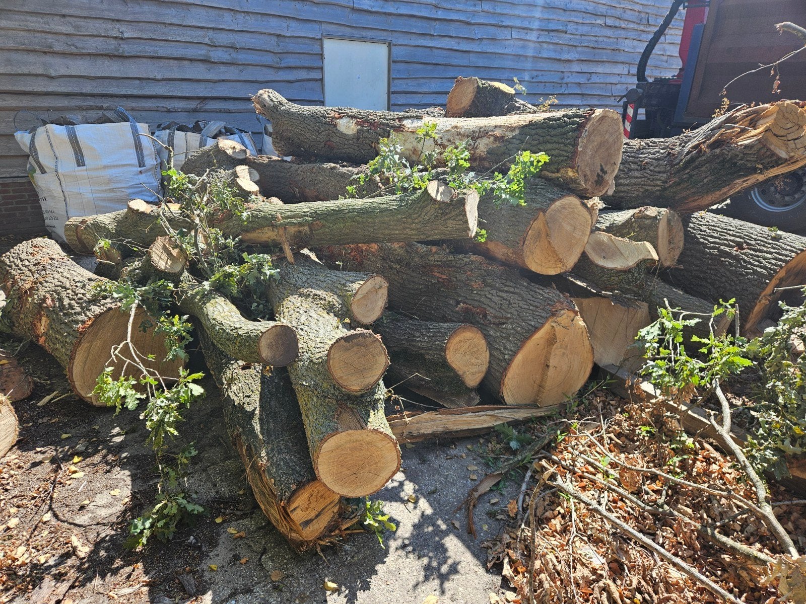 10 kuub mooie eiken stammen, Tuin en Terras, Haardhout, 6 m³ of meer, Ophalen of Verzenden, Eikenhout, Stammen