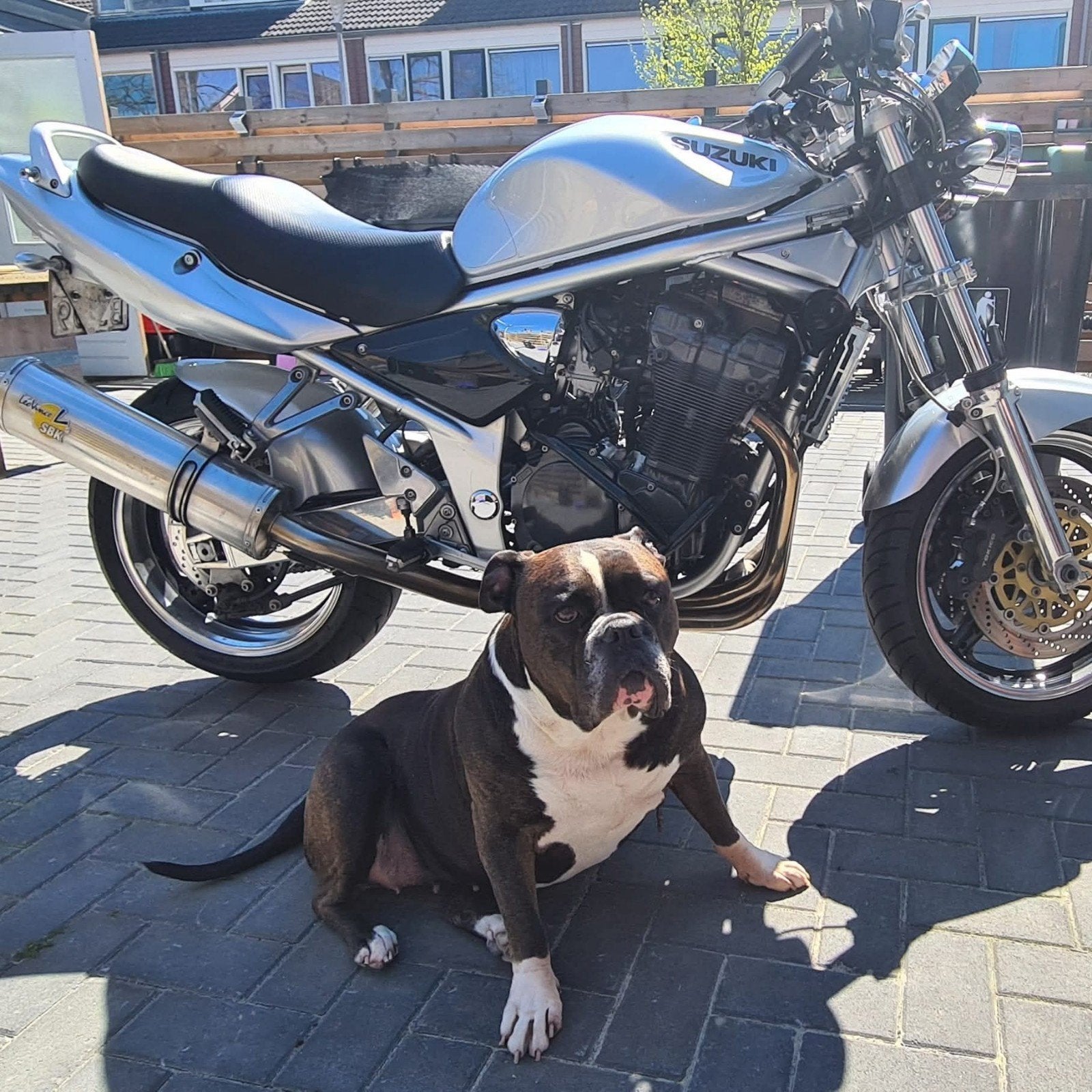 Suzuki Bandit 1200 - Naked Bike met extra's, Occasion, 4 cilinders, Motorrijbewijs A, Particulier