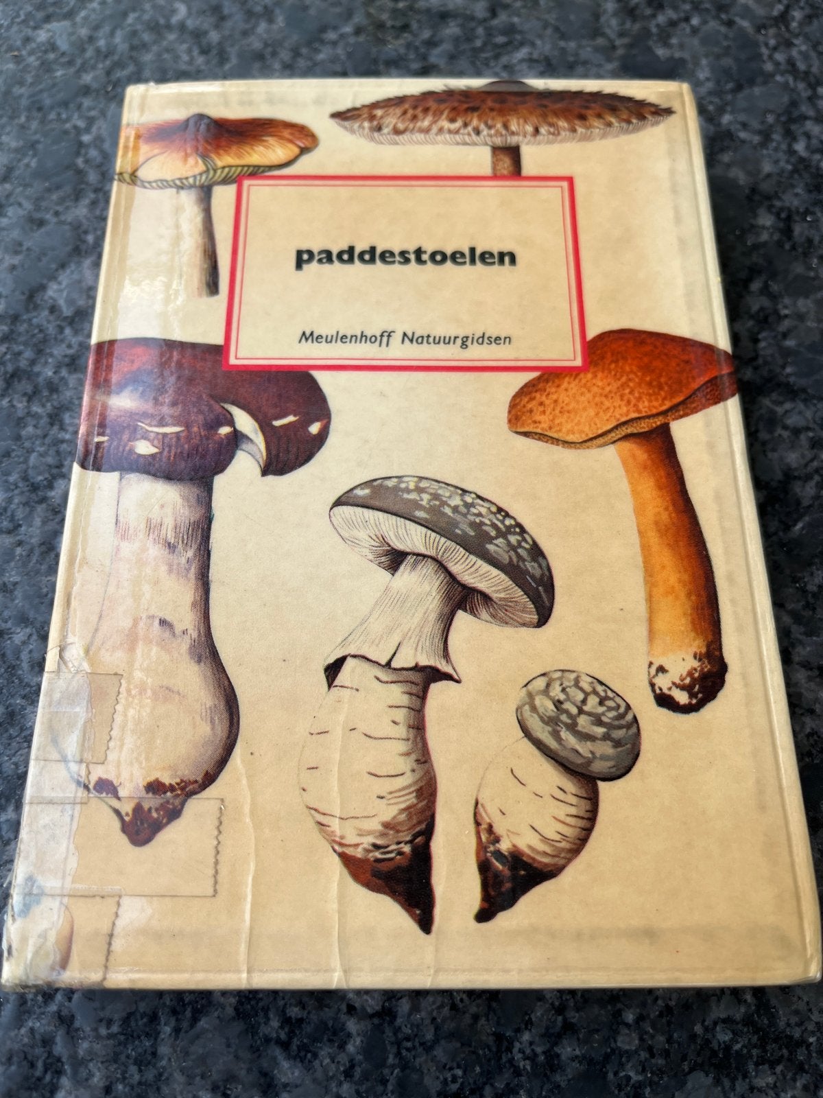Paddestoelen - Meulenhoff Natuurgidsen, Boeken, Natuur, Ophalen of Verzenden, Gelezen, Natuur algemeen