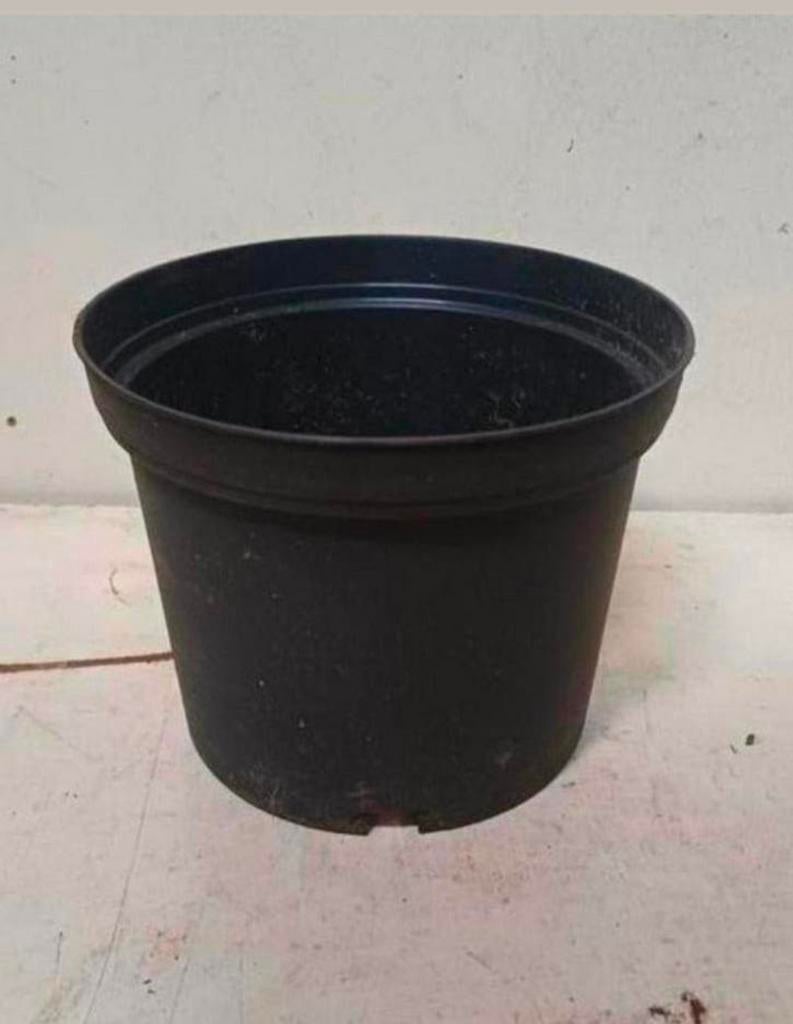 Kweekpotten plantenpotten bloempotten 2 liter, Kunststof, Gebruikt, Rond, Ophalen of Verzenden