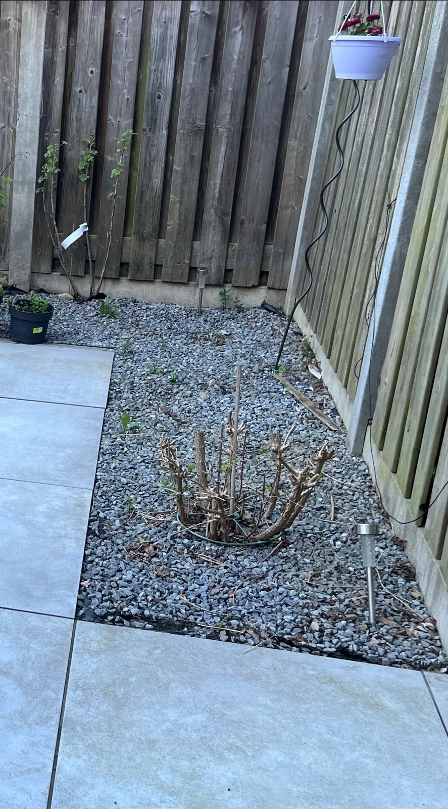 Gratis! Grijs Grind voor Tuin of Pad (3.2m2), Tuin en Terras, Ophalen, Overige materialen, Gebruikt, Grind