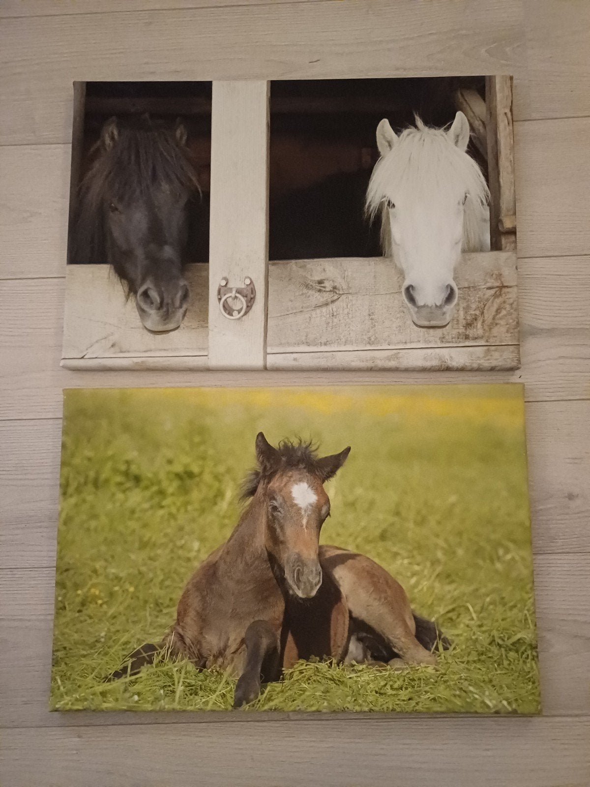 2x canvas paard, Huis en Inrichting, Ophalen of Verzenden, 50 tot 75 cm, Schilderij, Minder dan 50 cm