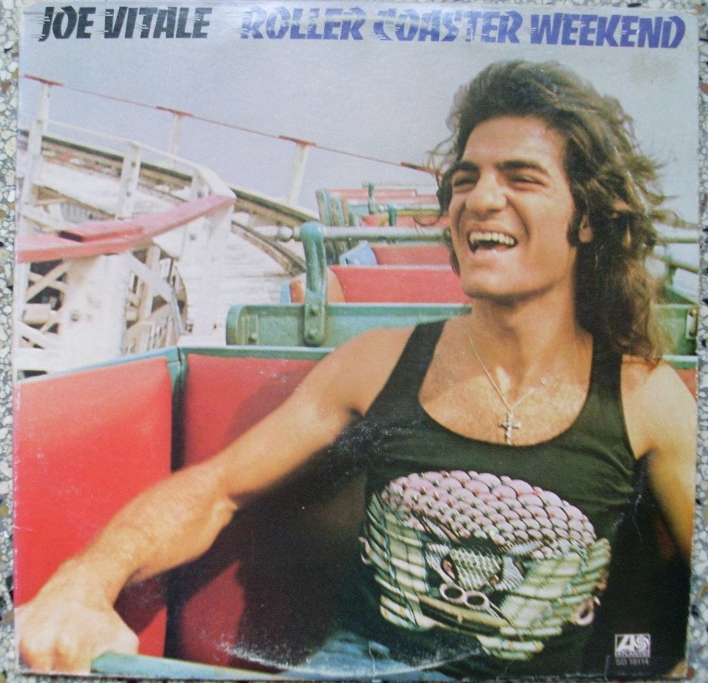 Joe Vitale - Roller Coaster Weekend (LP) Joe Walsh Derringer, LP, Gebruikt, Ophalen of Verzenden, 12 inch