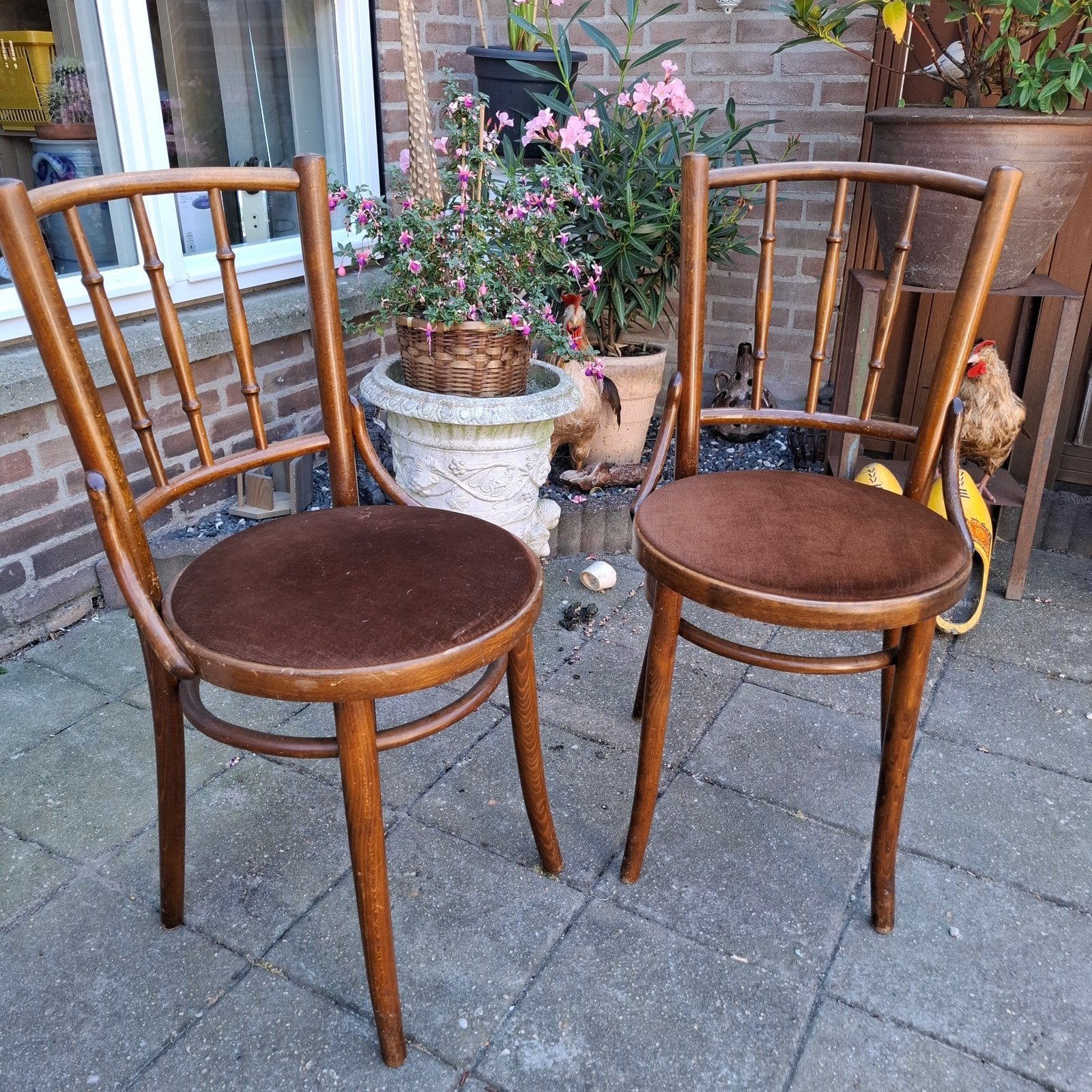 Leuke set Thonet stoelen., Ophalen of Verzenden