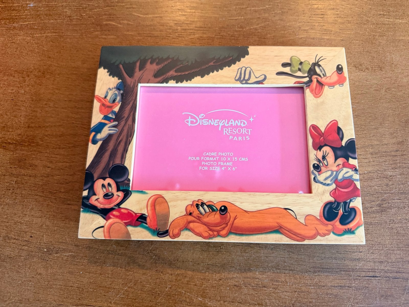 Disney fotolijst met Mickey, Minnie, Donald en Goofy, Audio, Tv en Foto, Fotografie | Fotolijsten, Ophalen, Standaard fotolijst