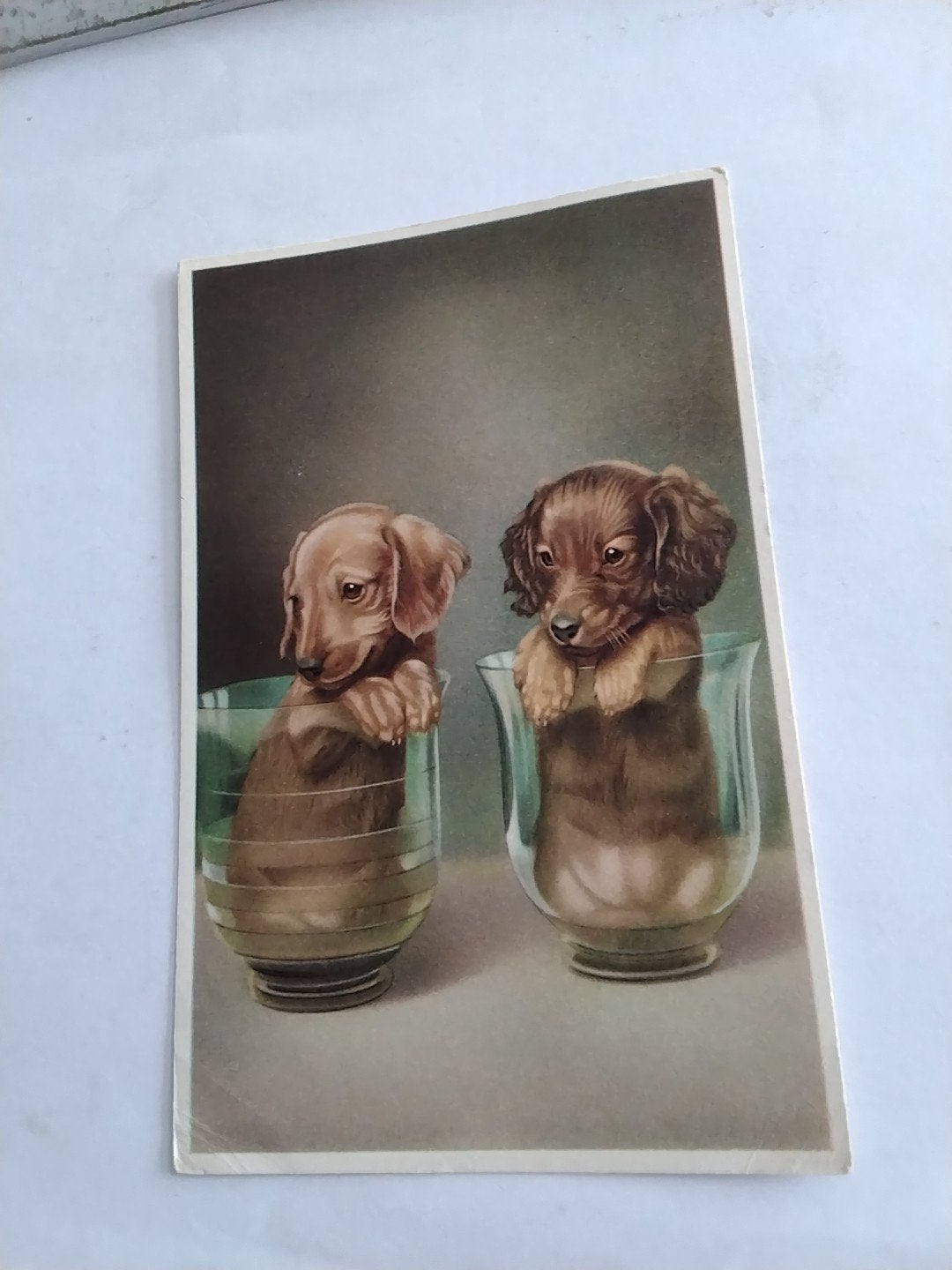 Oude ansichtkaart met schattige teckelpupjes in glazen, Verzamelen, Ophalen of Verzenden, 1940 tot 1960, Gelopen
