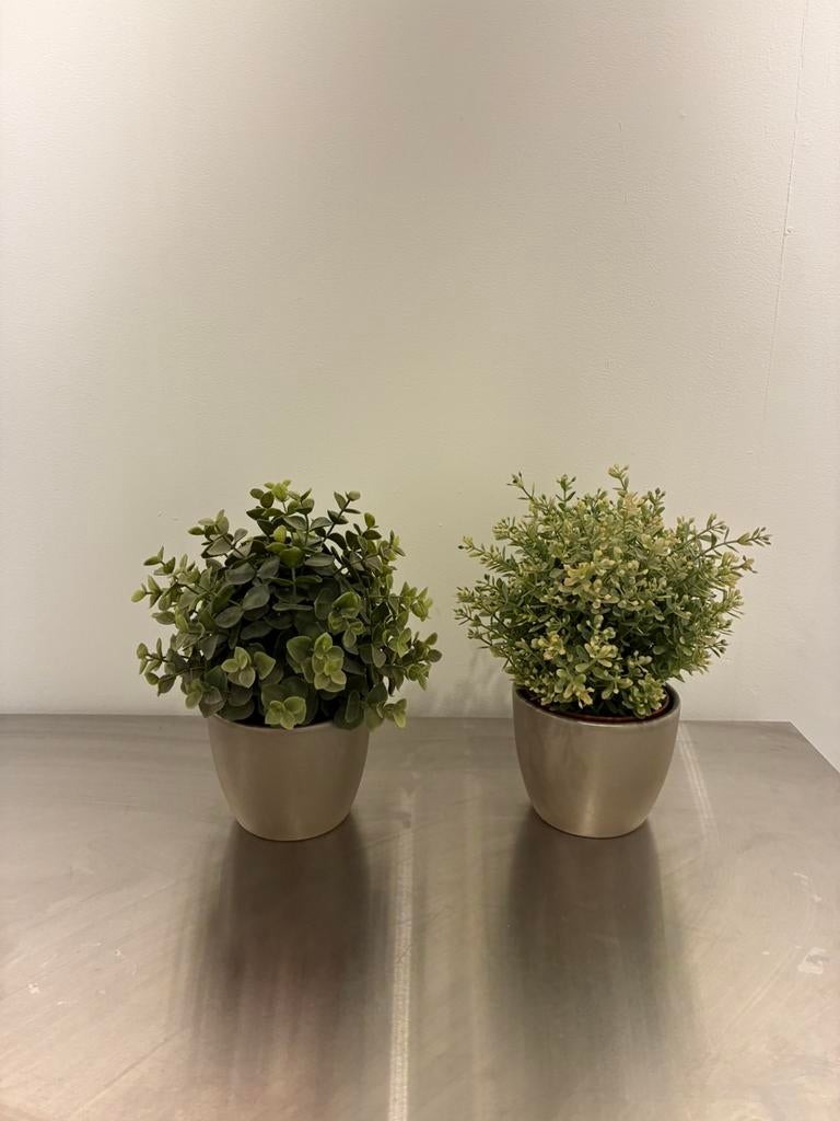 Set of 2 Artificial Plants with Decorative Pots (IKEA Style), Ophalen of Verzenden, Zo goed als nieuw