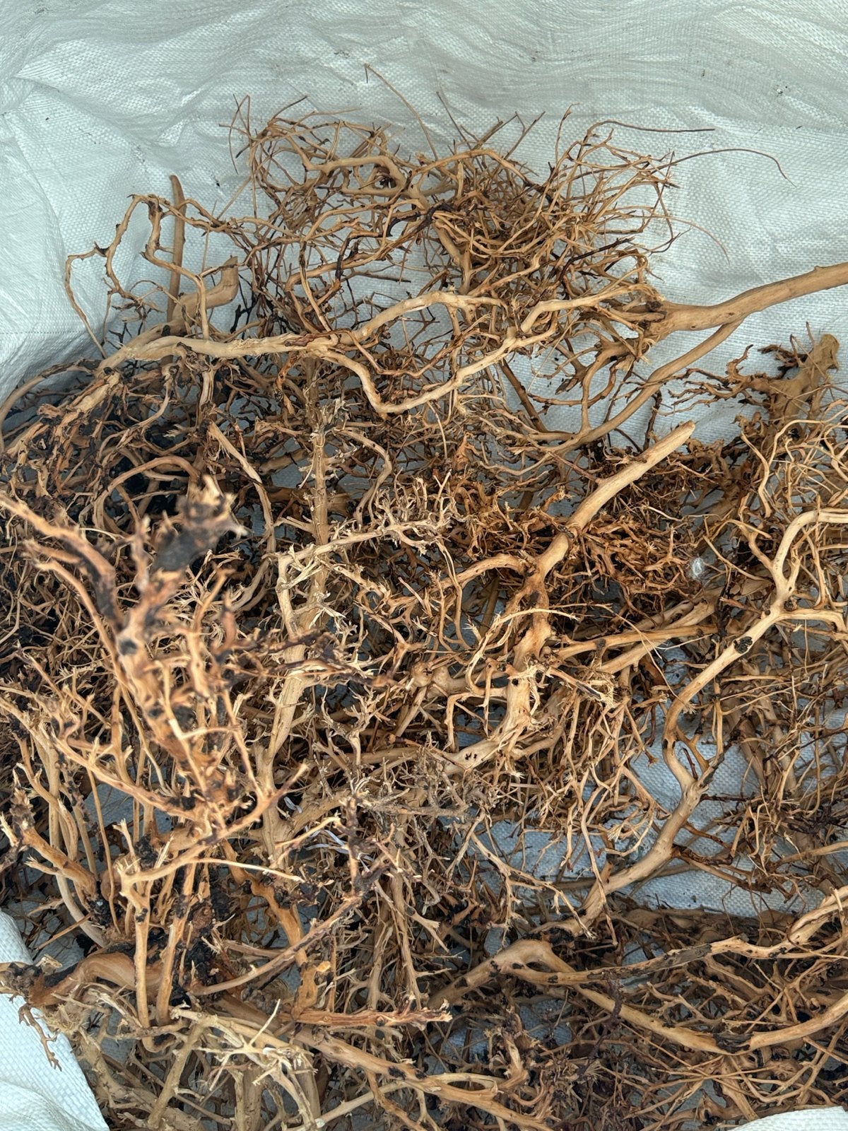 Yellow twig thai wood, Ophalen of Verzenden, Verlichting of Verwarming