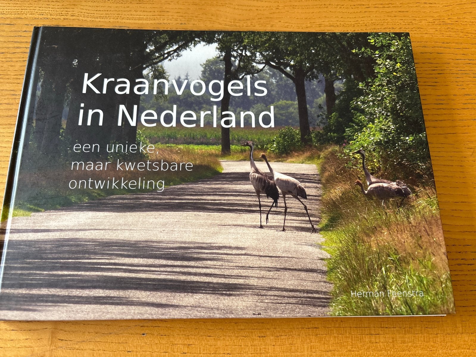 Kraanvogels in Nederland: een unieke, kwetsbare ontwikkeling, Ophalen of Verzenden, Zo goed als nieuw, Vogels