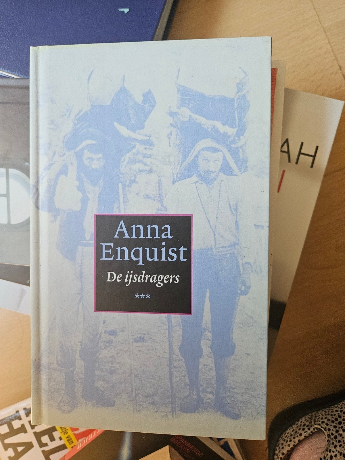 Anna Enquist - De ijsdragers, Boeken, Literatuur, Ophalen of Verzenden, Gelezen, Anna Enquist, Nederland