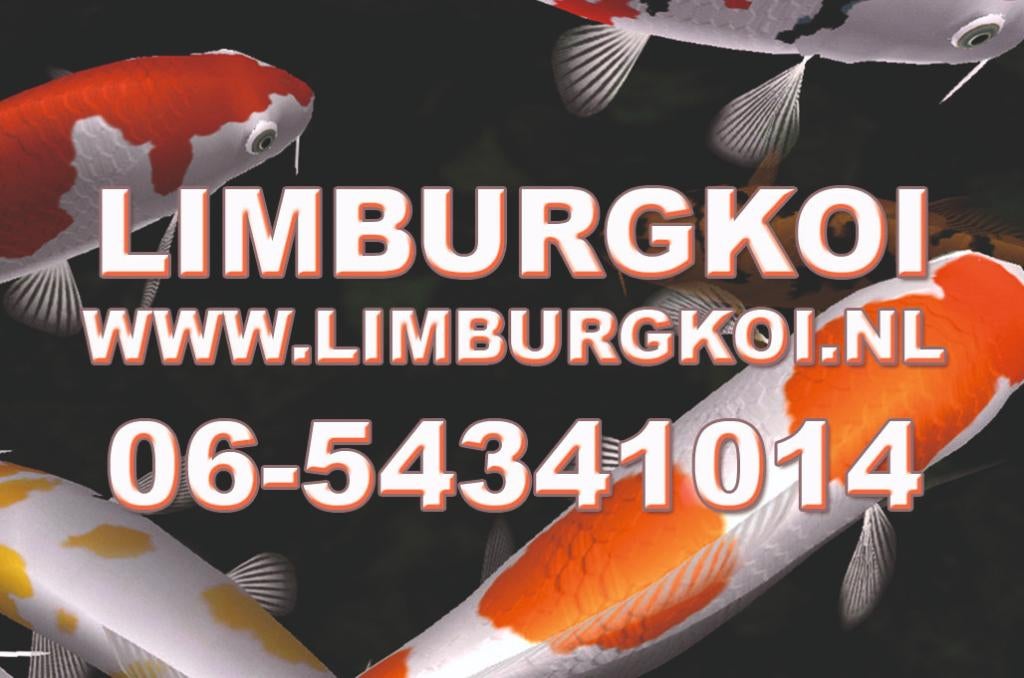 Totale Leegverkoop Limburg Koi BV, Ophalen, Nieuw, Overige typen