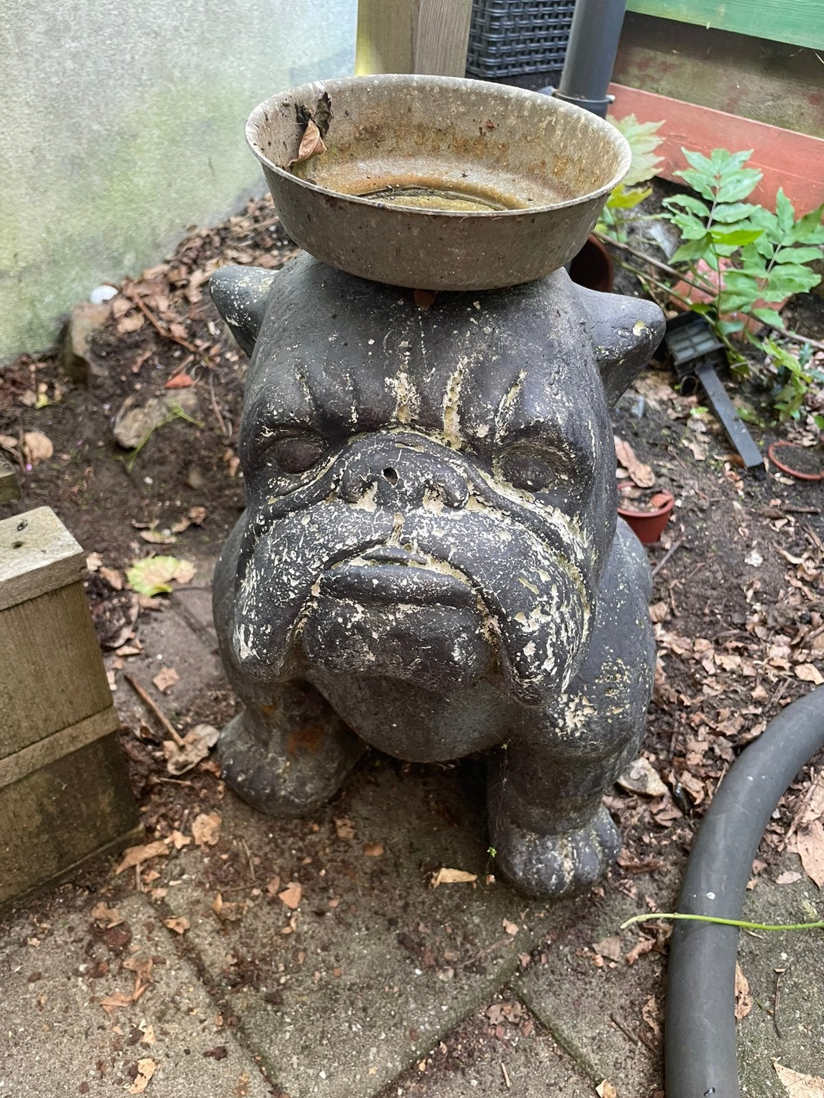 Bulldog met bakje( voor evt een plant)), Ophalen, Gebruikt, Kunststof, Dierenbeeld