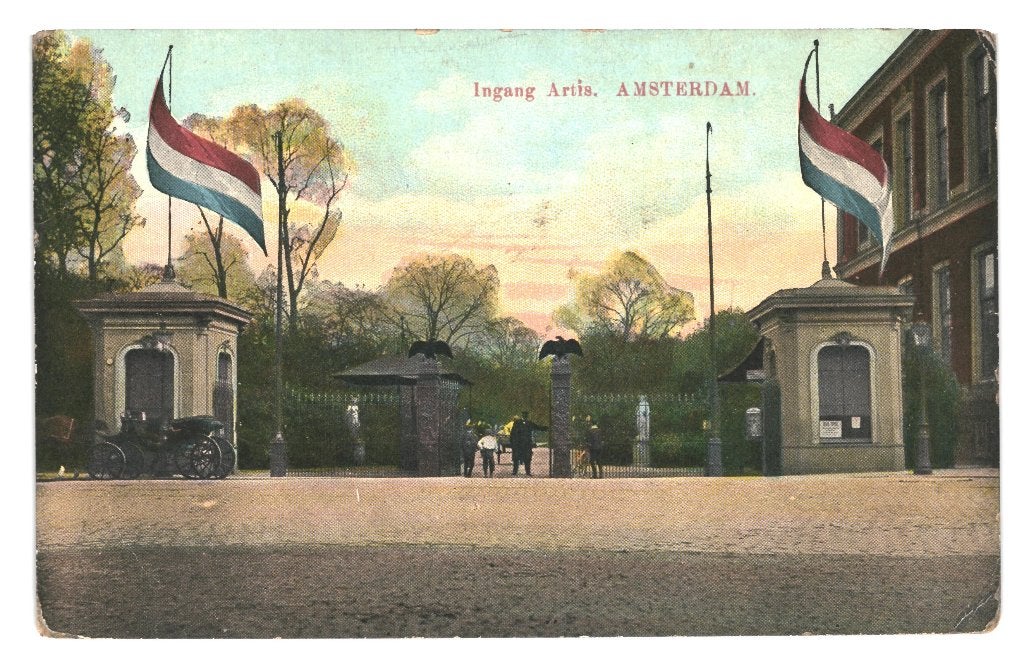 988536 Amsterdam Artis Leuke oude kaart Onbeschreven, Ophalen of Verzenden, Voor 1920, Ongelopen, Zuid-Holland