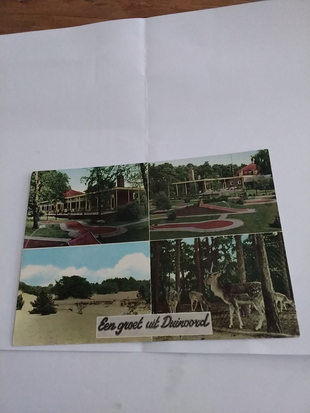 Ansichtkaart Hotel-Café-Restaurant Duinoord Helvoirt, Ophalen of Verzenden, 1960 tot 1980, Ongelopen, Noord-Brabant