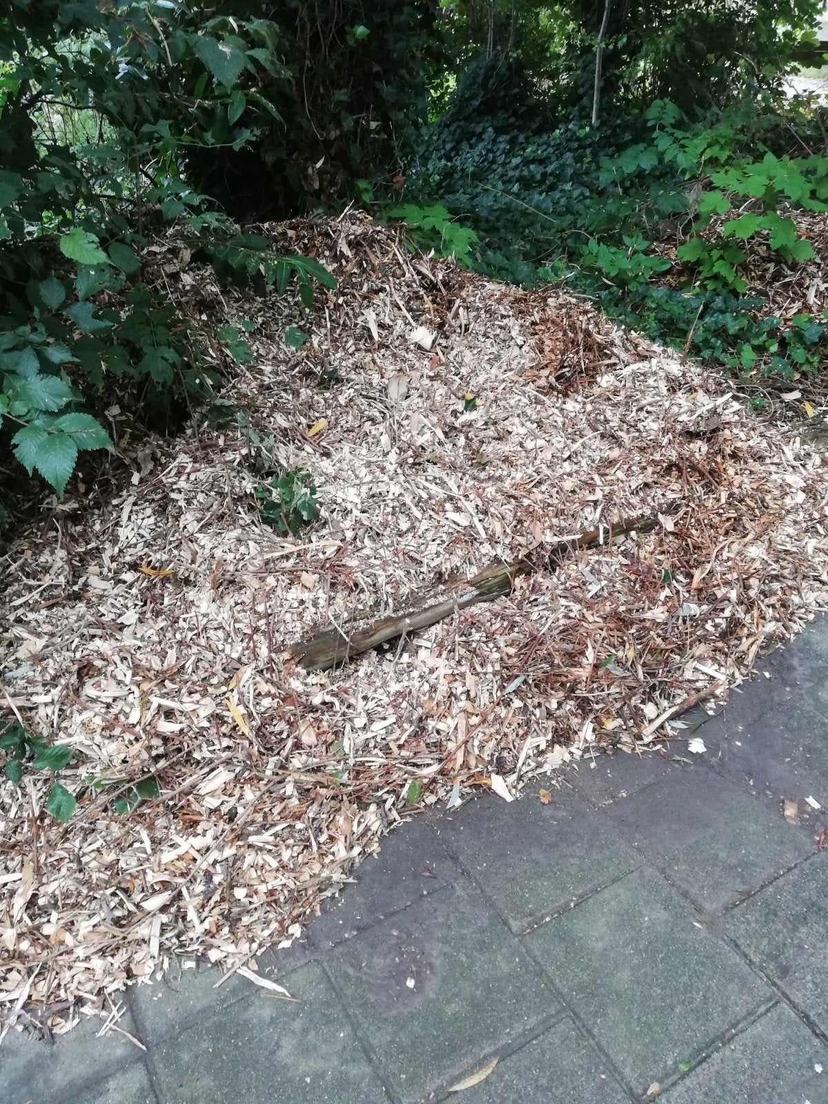 gratis af te halen houtsnippers, Ophalen