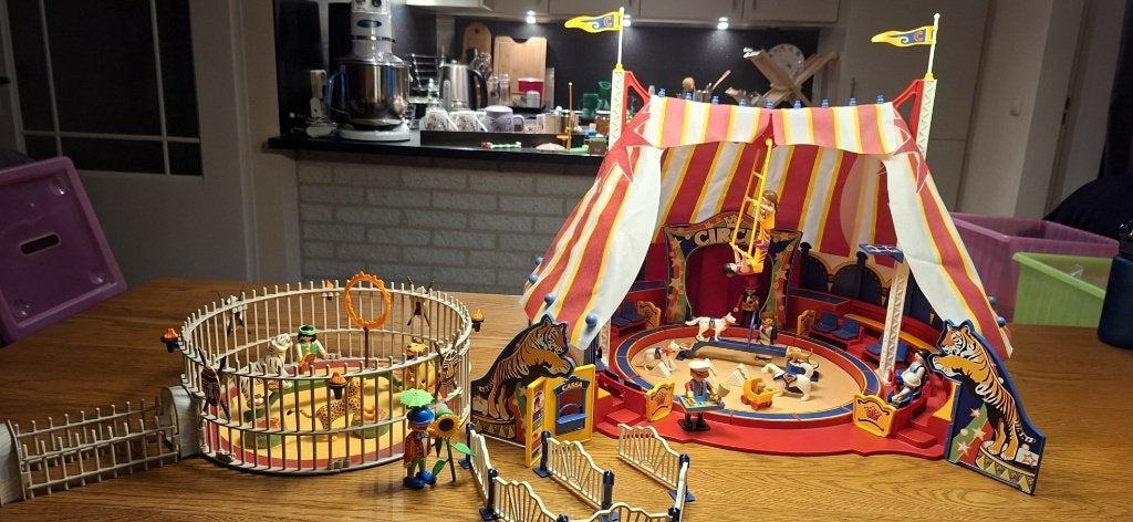 PLAYMOBIL CIRCUS, Ophalen of Verzenden, Gebruikt