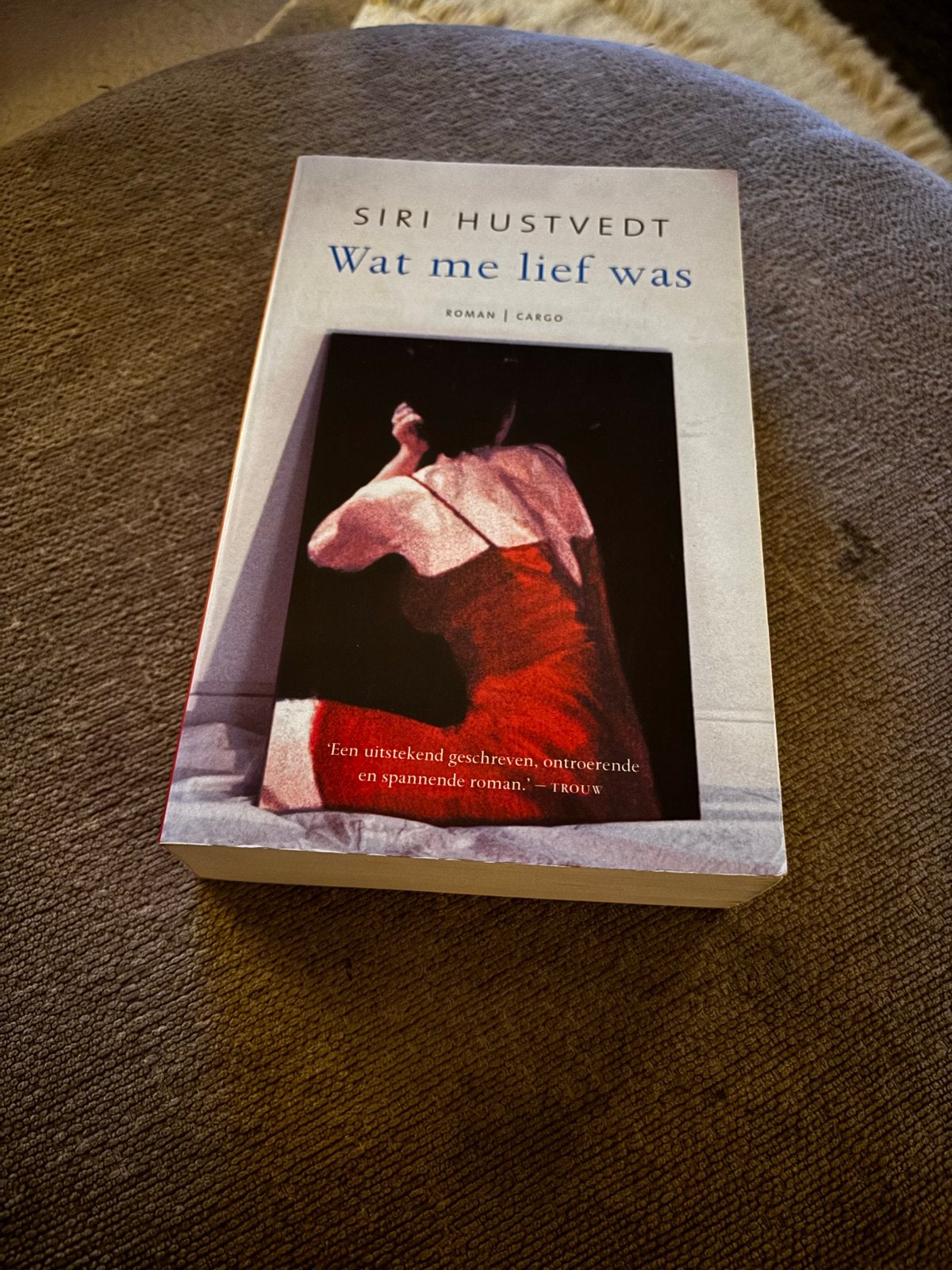Siri Hustvedt - Wat me lief was (Roman), Boeken, Ophalen of Verzenden, Gelezen, Nederland
