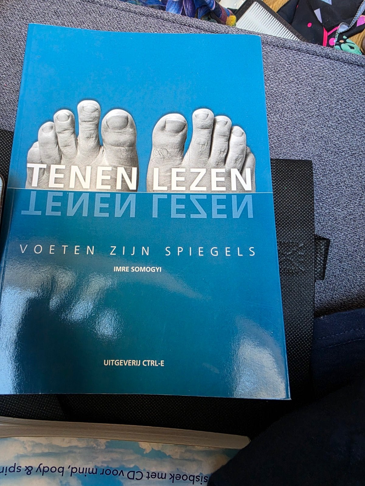 Tenen Lezen: Voeten Zijn Spiegels - Imre Somogyi, Boeken, Achtergrond en Informatie, Ophalen of Verzenden, Zo goed als nieuw, Imre Somogyi