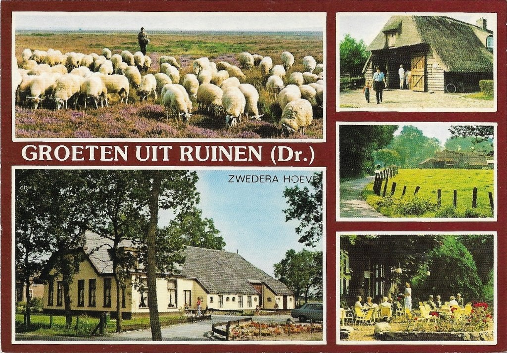 Ansichtkaart  	Ansen (Ruinen)	Zwedera-Hoeve	5-luik, Verzenden, 1960 tot 1980, Gelopen, Drenthe