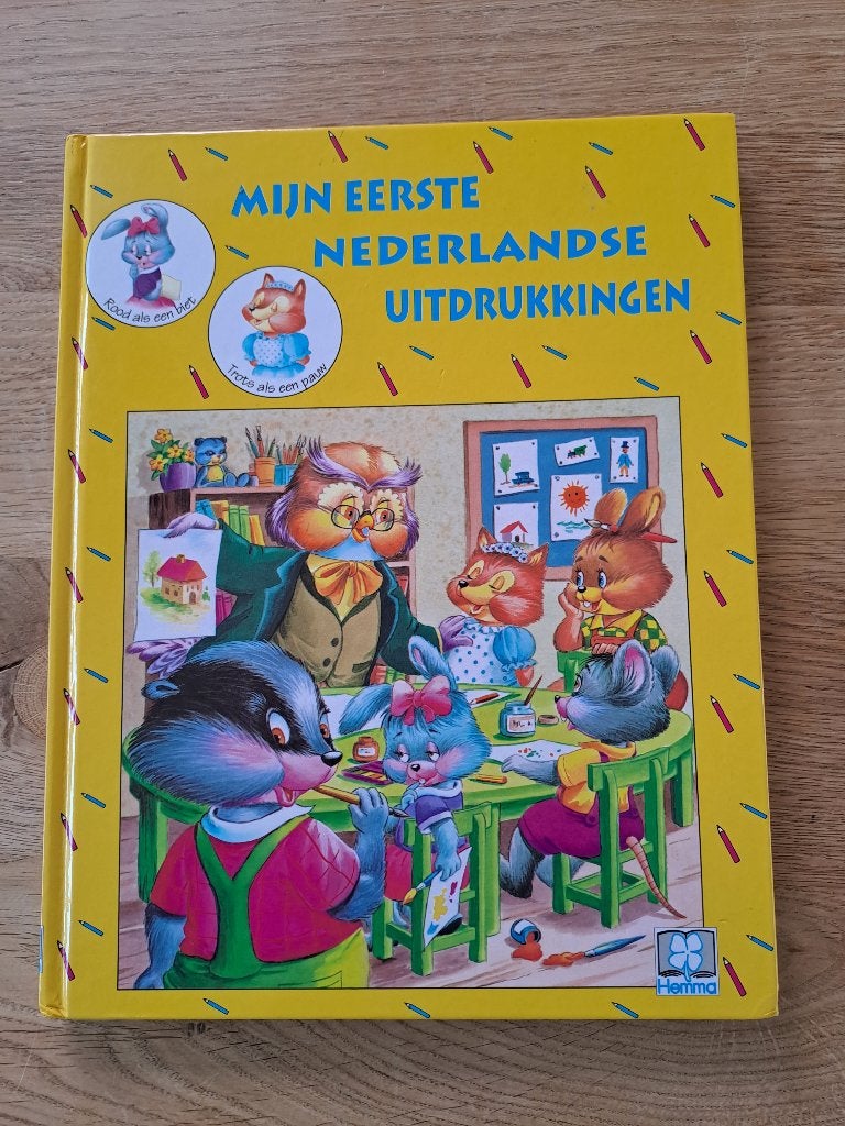 MIJN EERSTE NEDERLANDSE UITDRUKKINGEN. GEMMA VAN LEEUWEN., Ophalen of Verzenden, Gelezen, Gemma van Leeuwen, Non-fictie