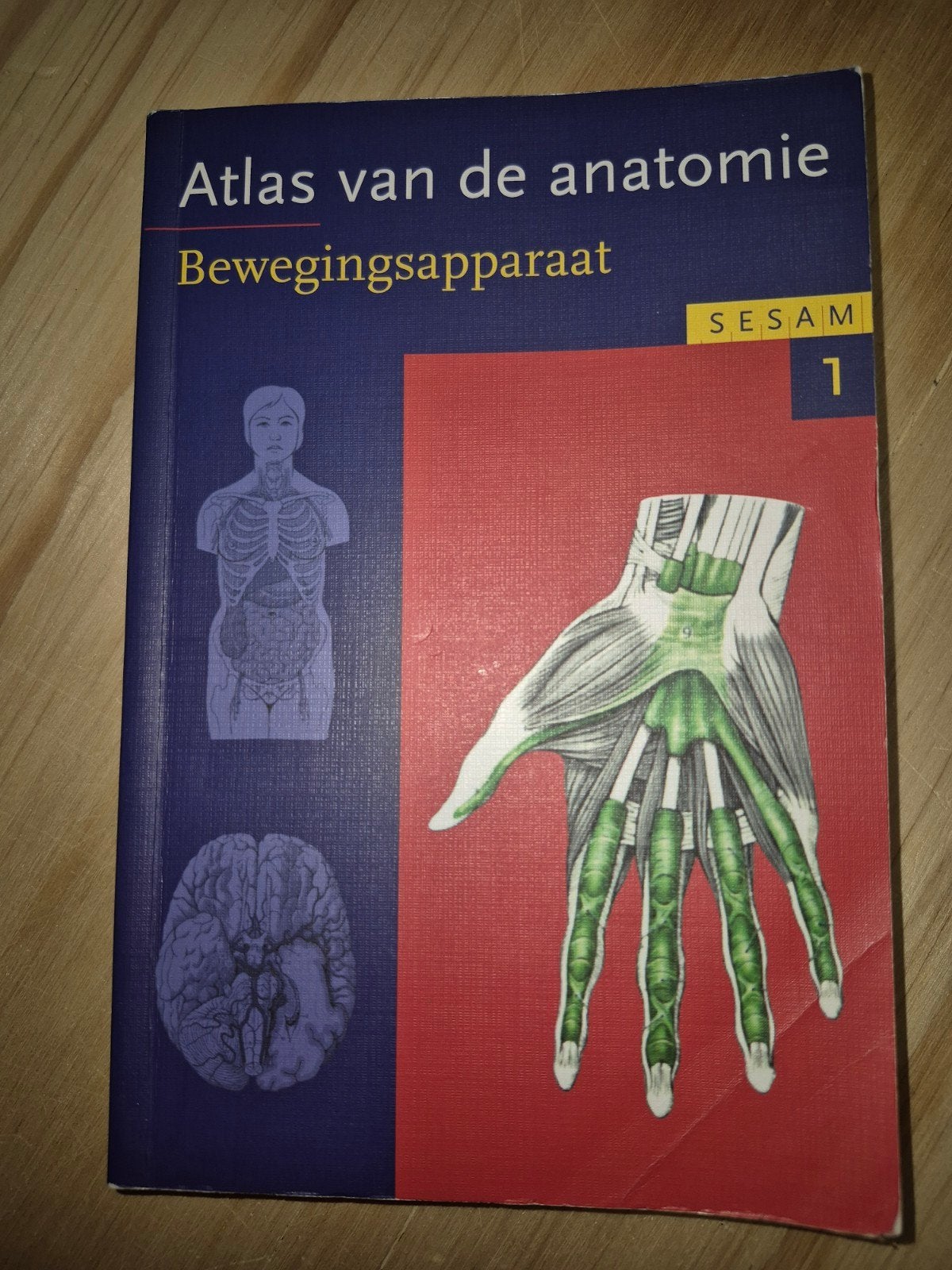 Atlas van de anatomie: Bewegingsapparaat (Sesam 1), Boeken, Studieboeken en Cursussen, Beta, Onbekend, Gelezen, HBO