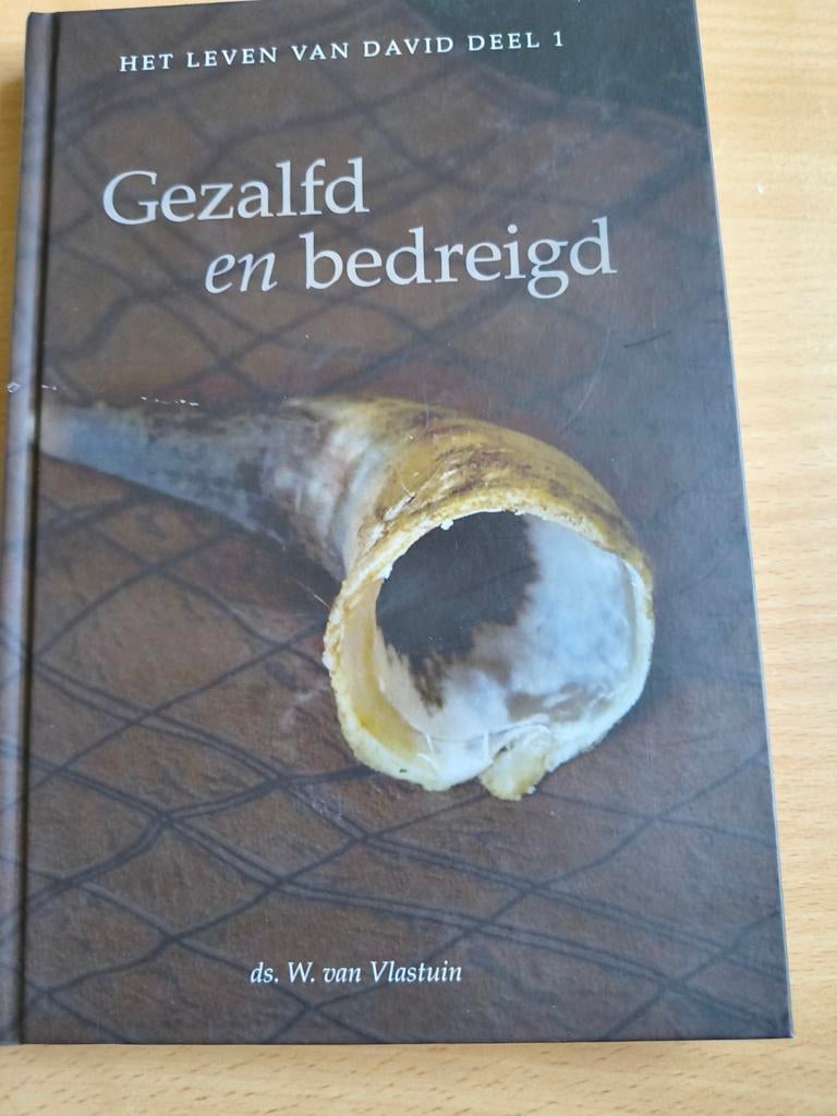 Gezalfd en bedreigd. Ds W van Vlastuin, Boeken, Christendom | Protestants, Ophalen of Verzenden, Zo goed als nieuw, Ds W van Vlastuin