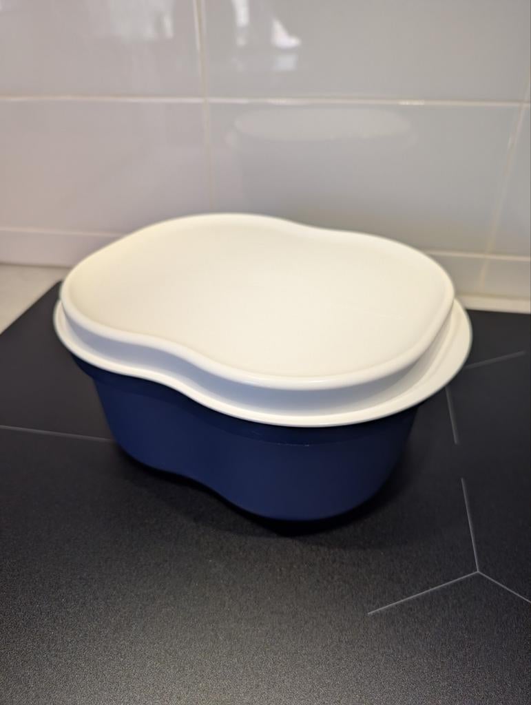 Tupperware kaasbak - zo goed als nieuw - sluit goed, Ophalen of Verzenden, Zo goed als nieuw, Overige typen