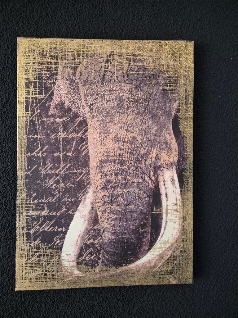 Olifant poster, Spijkenisse, Ophalen, Zo goed als nieuw, Canvas of Doek, A1 t/m A3