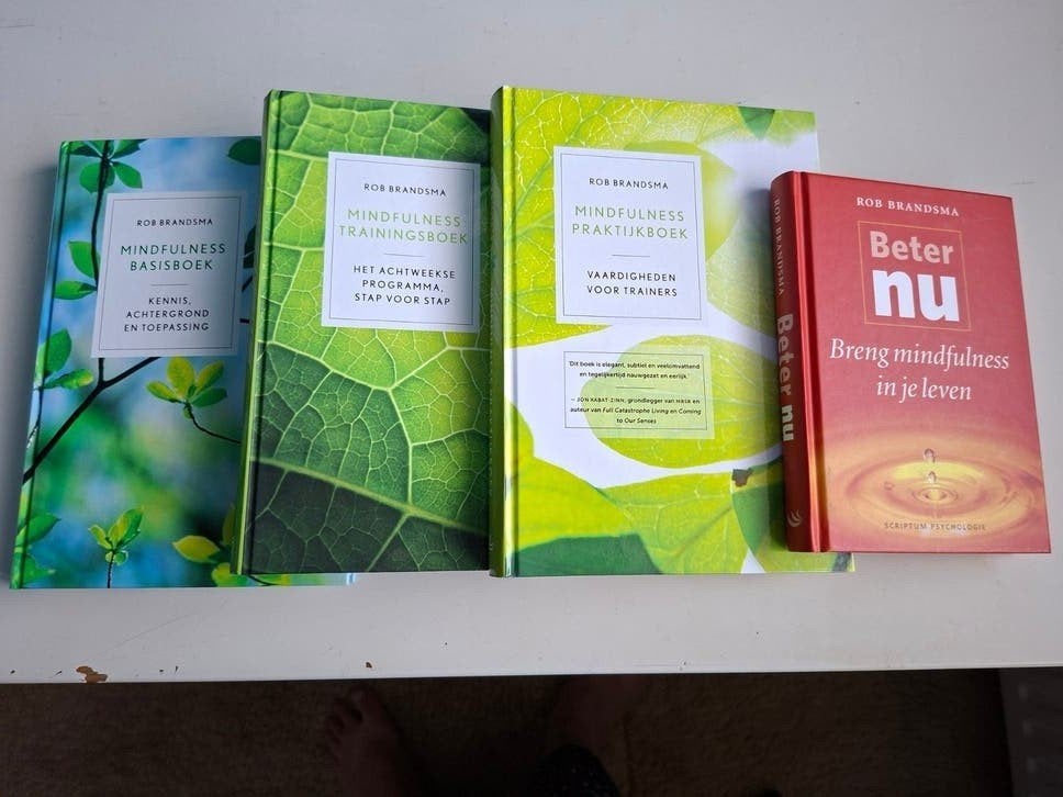 Rob Brandsma - Basisboek, traningsboek, praktijkboek, Boeken, Ophalen of Verzenden, Nieuw, Rob Brandsma