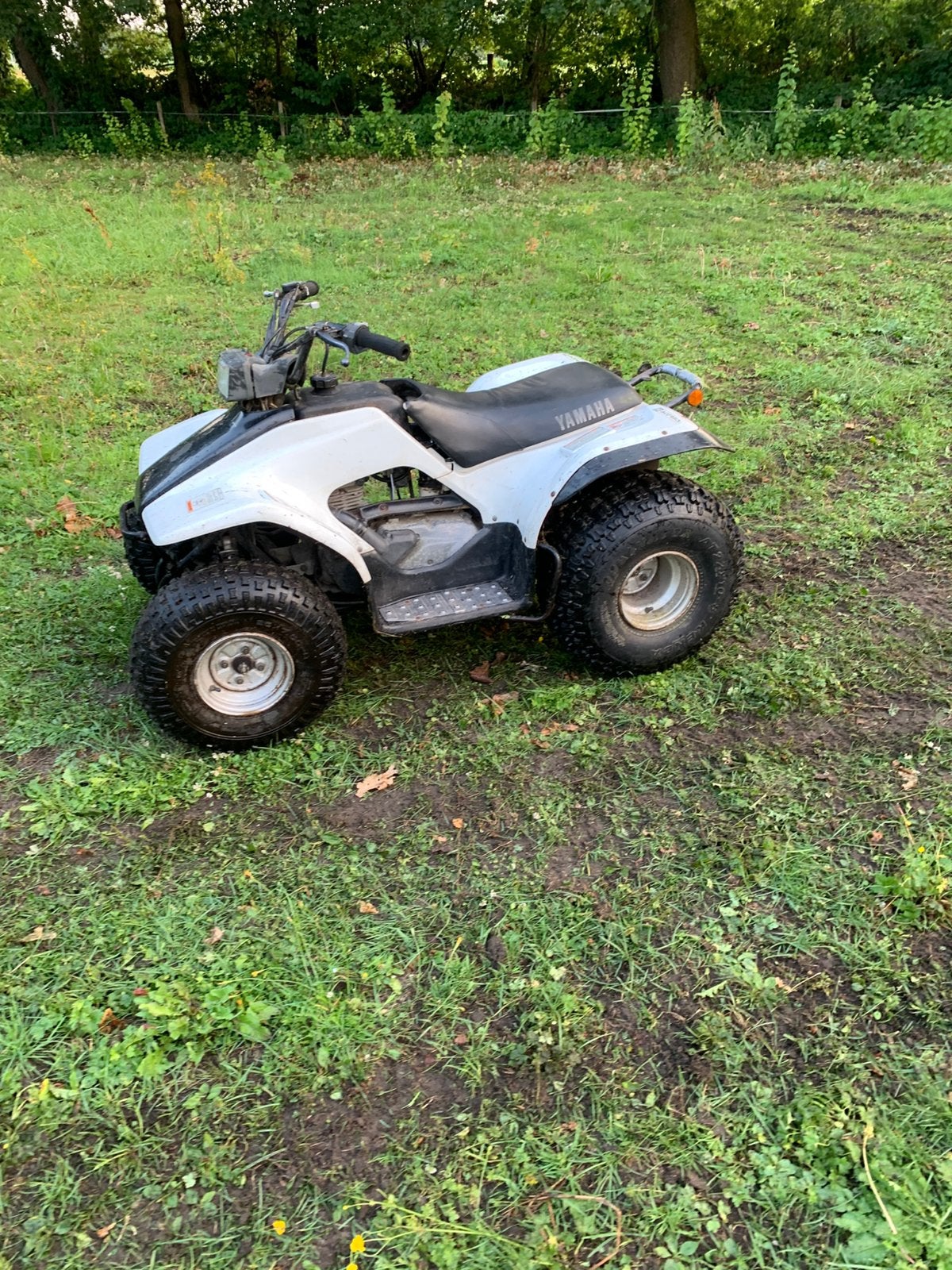 Quads gezocht!!!, Ophalen of Verzenden, Zo goed als nieuw, Overige typen