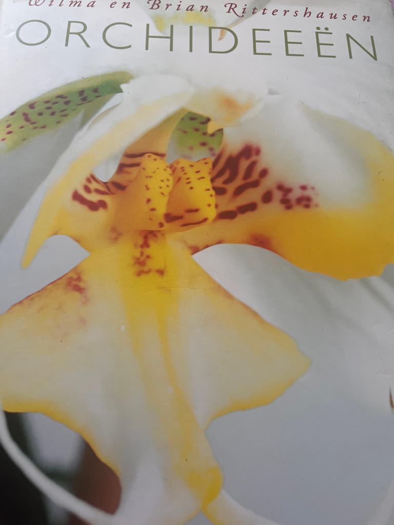 W. Rittershausen - Orchideeen, Boeken, Gelezen, Bloemen, Planten en Bomen, Ophalen of Verzenden, W. Rittershausen; B. Rittershausen