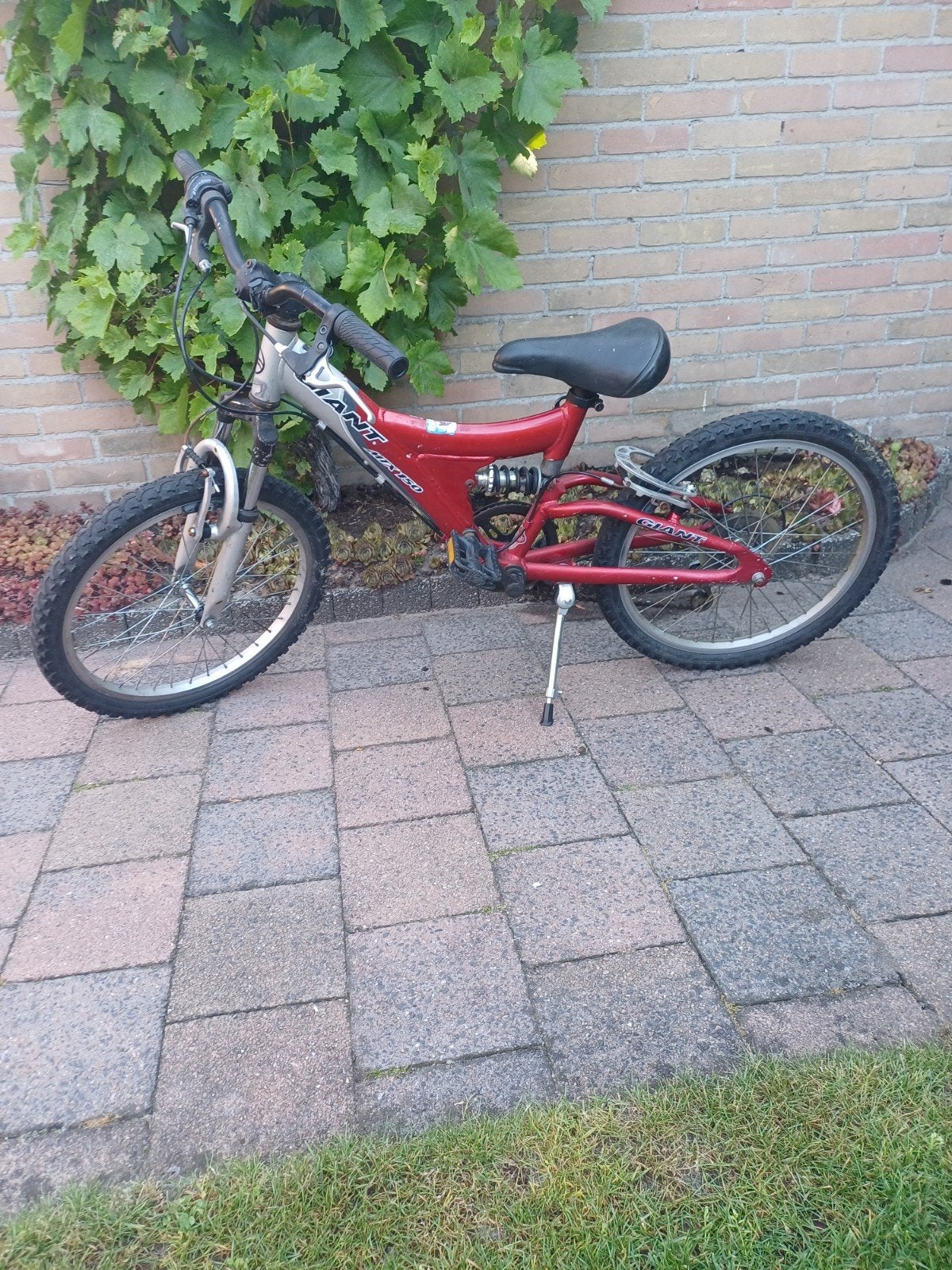 Te.koop 20ich mountainbike 5 versnel Giant, Fietsen en Brommers, Fietsen | Jongens, Ophalen, Gebruikt, 26 inch of meer, Versnellingen
