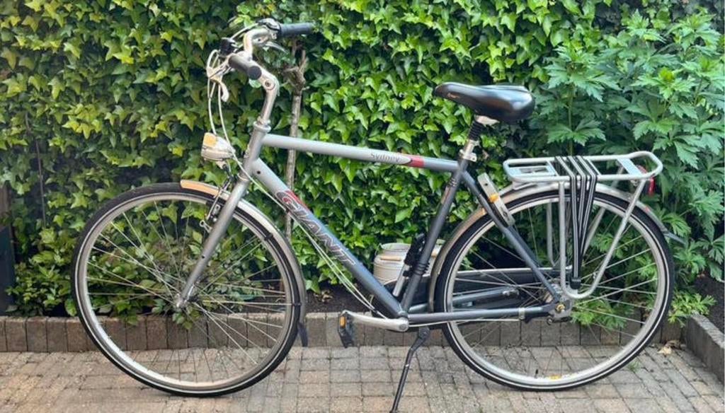 Herenfiets Giant ophalen Culemborg,zaterdag in Oss ophalen, Gebruikt, Velgrem, Versnellingen, 57 tot 61 cm