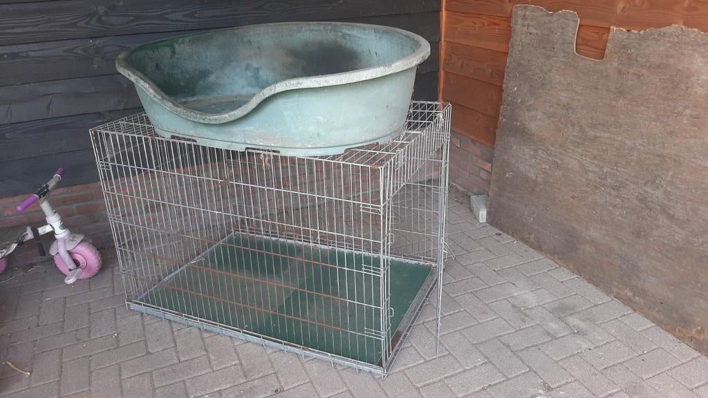 Grote honden mand, Ophalen