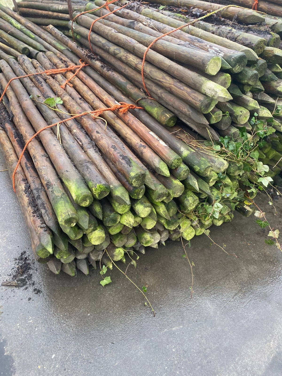 Houten palen, Ophalen, Gebruikt, 180 tot 250 cm, Palen