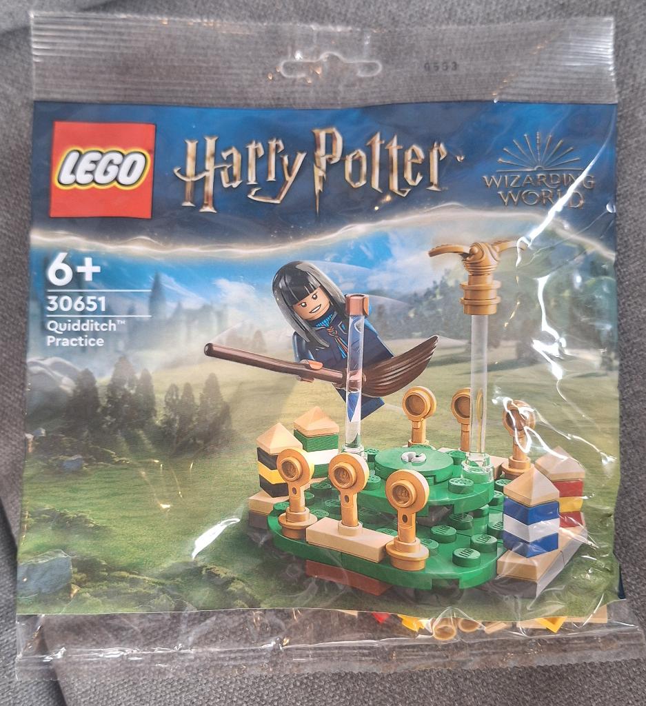 LEGO Harry Potter 30651 Zwerkbal Training Polybag |NIEUW|, Kinderen en Baby's, Speelgoed | Duplo en Lego, Ophalen of Verzenden