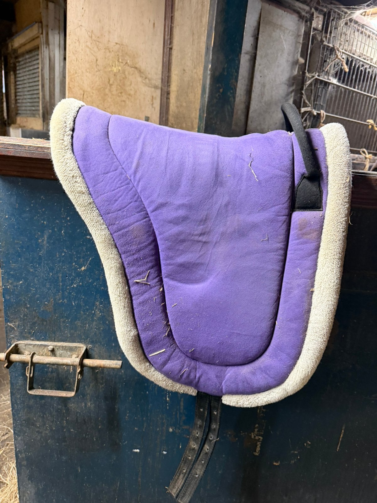 Barebackpad, Dieren en Toebehoren, Gebruikt, Overige materialen, Ophalen of Verzenden, Paars