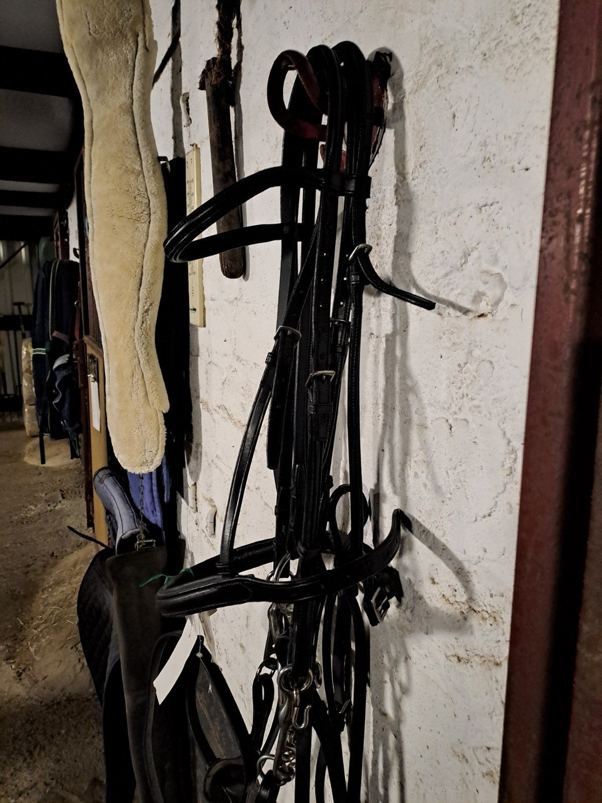 splinternieuw stang en trens hoofdstel full, Hoofdstel, Inclusief bit, Nieuw, Ophalen of Verzenden